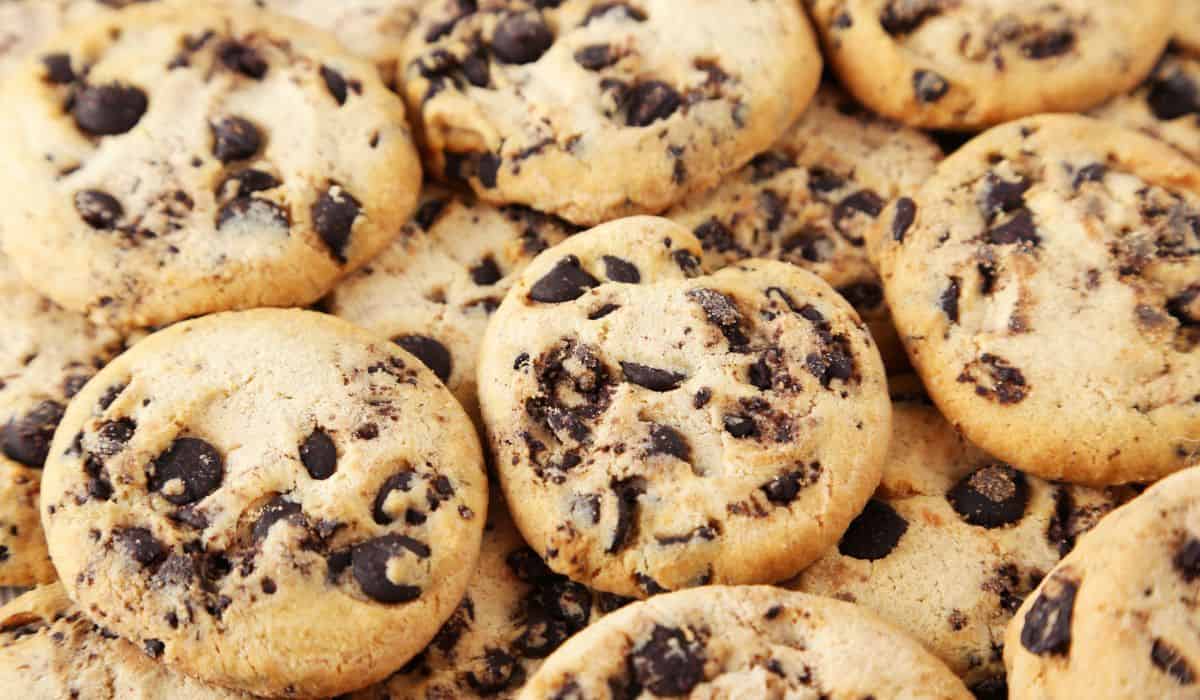chocolate chip sugar cookies